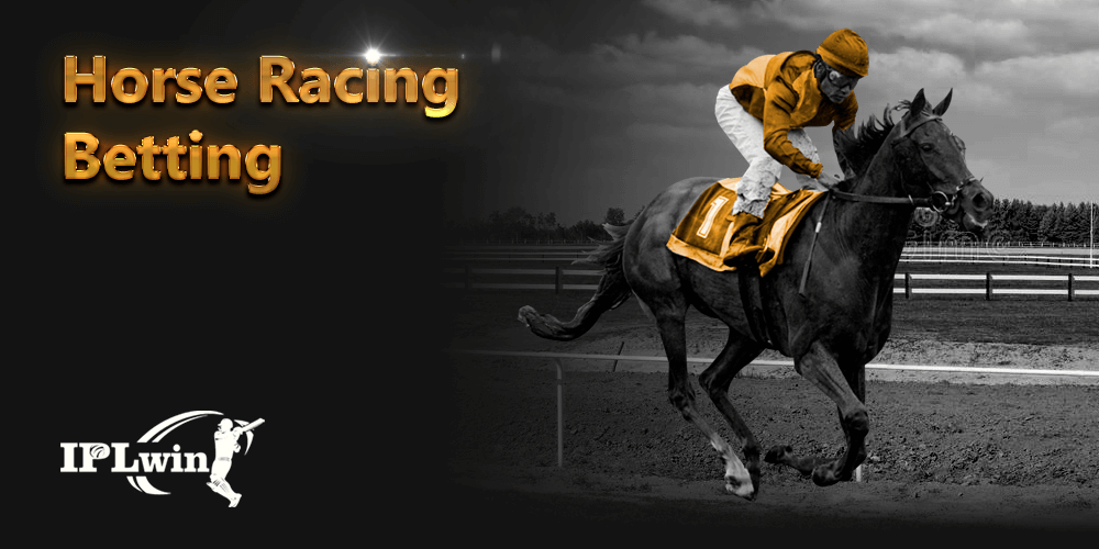 6161bet